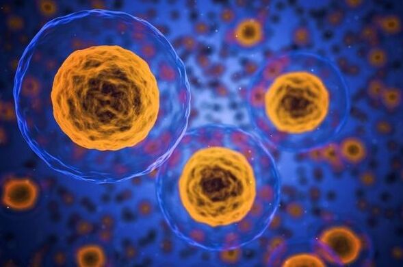 How the weight loss process takes place